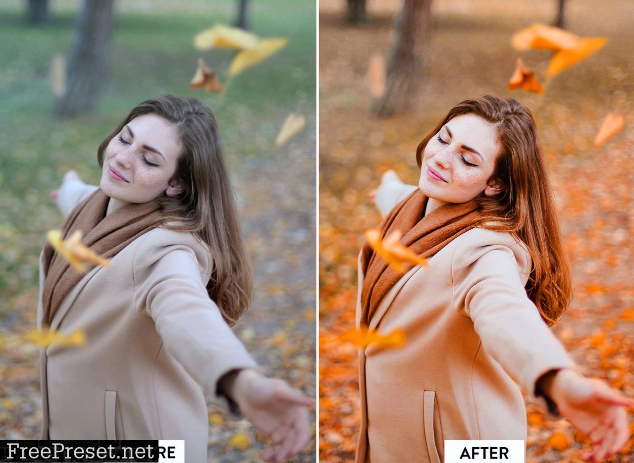 10 MOODY FALL Lightroom Preset 5532981