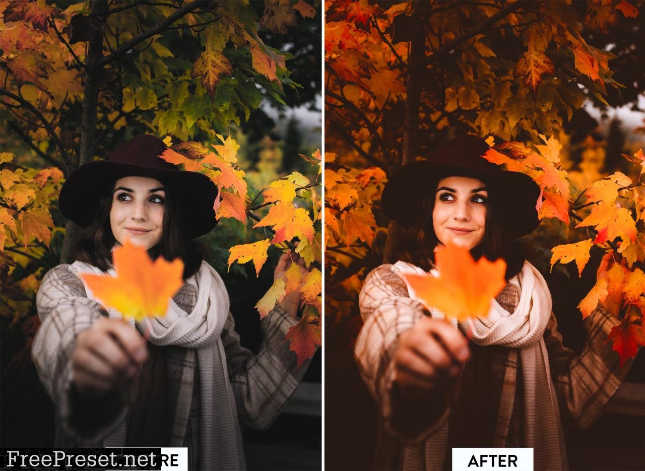 10 MOODY FALL Lightroom Preset 5532981