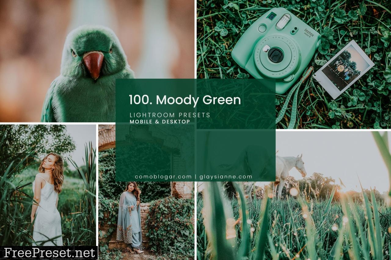 100. Moody Green Preset 4998928