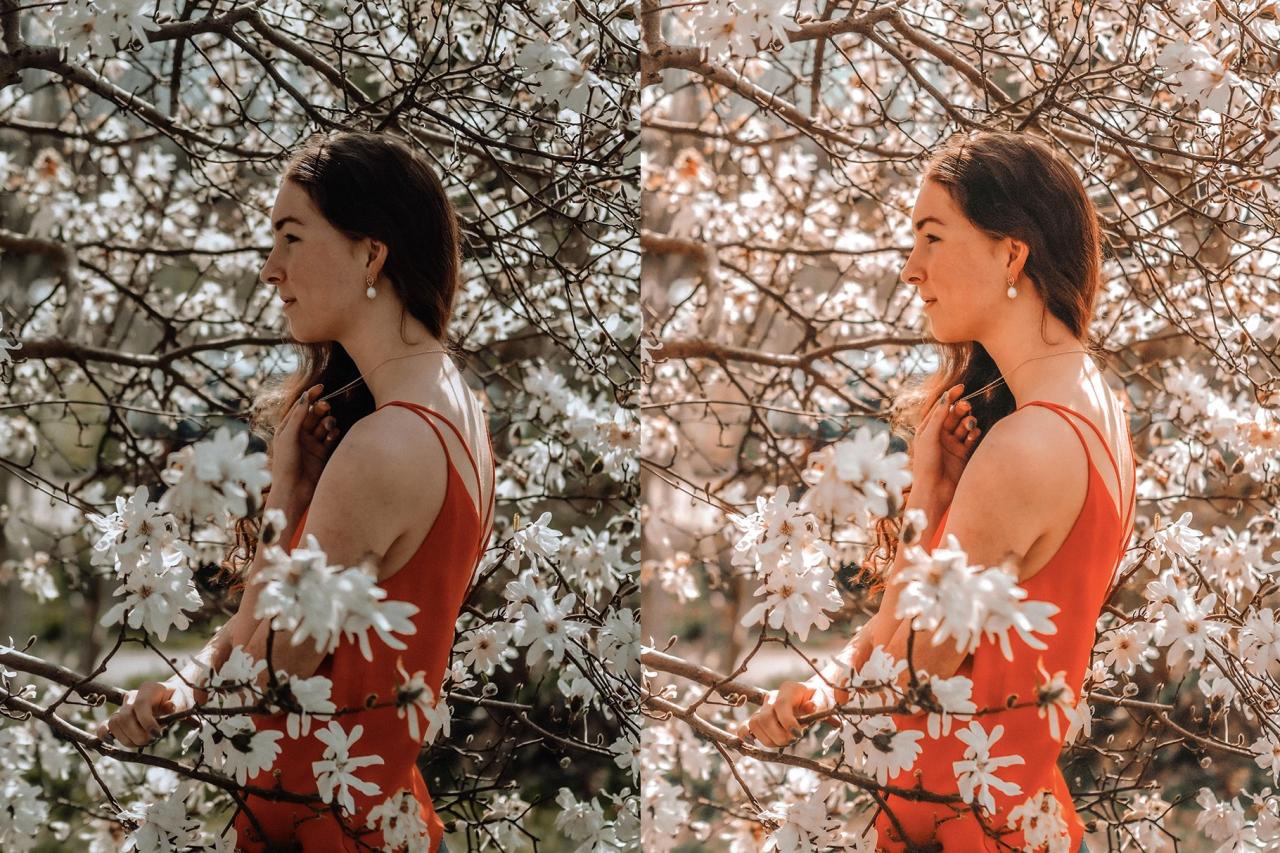 4 Spring Lightroom Presets 5627531