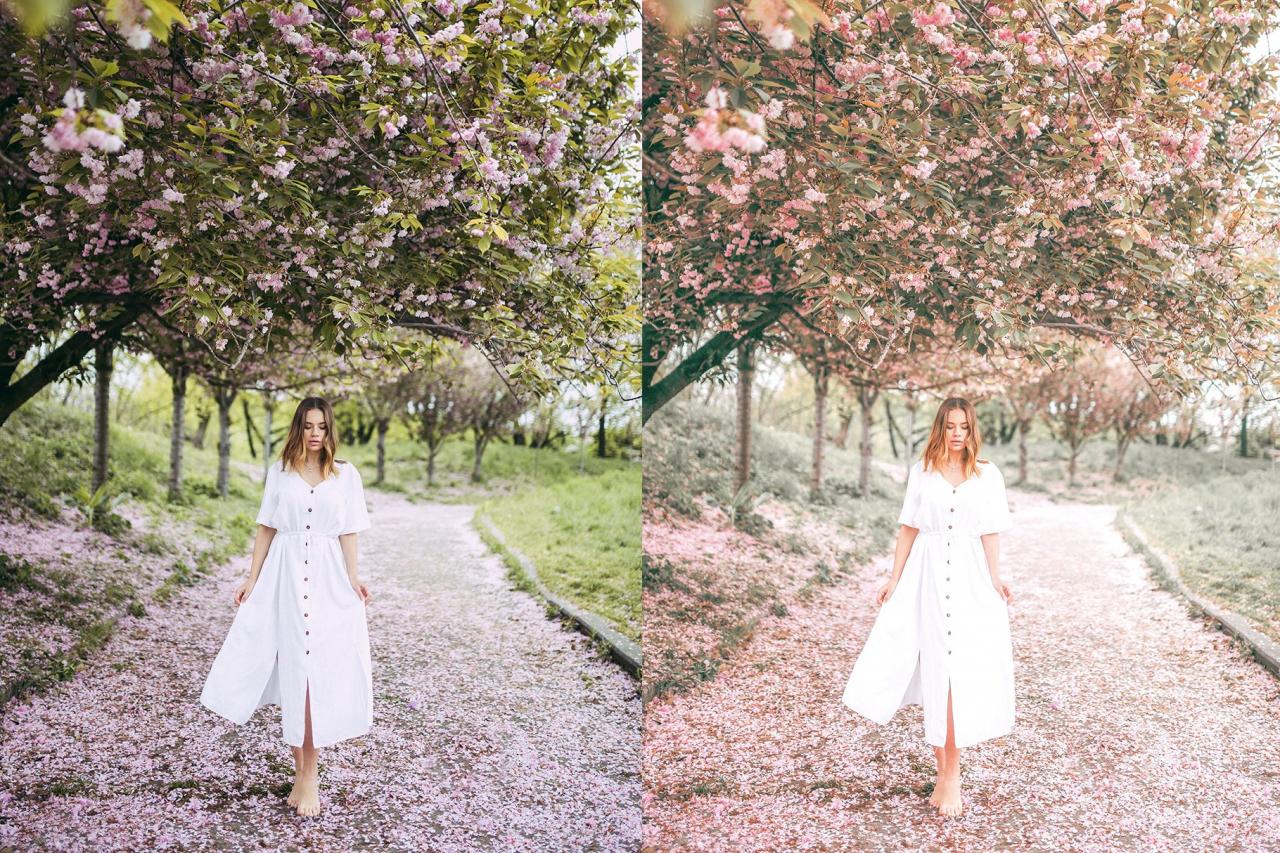 4 Spring Lightroom Presets 5627531