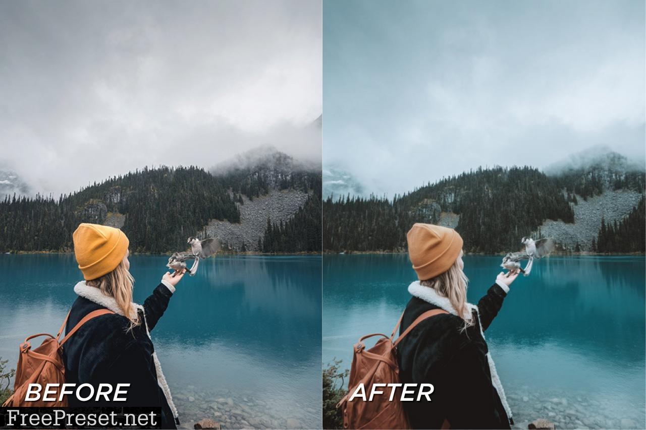 5 Forest Lightroom Presets 5699079