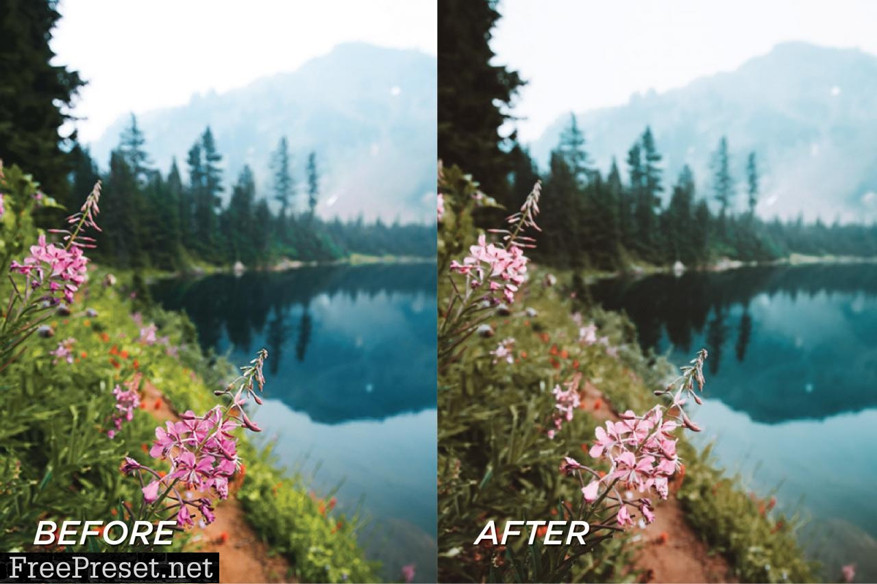 5 Forest Lightroom Presets 5699079