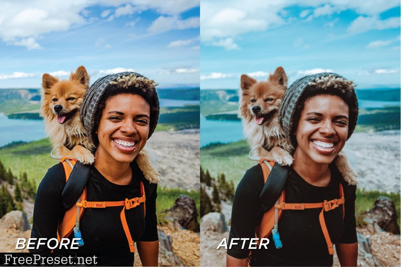 5 Forest Lightroom Presets 5699079