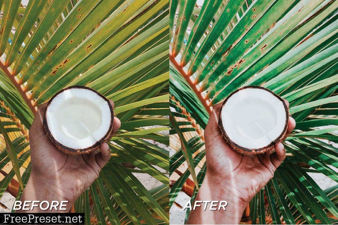 5 Green Lightroom Presets 5701795