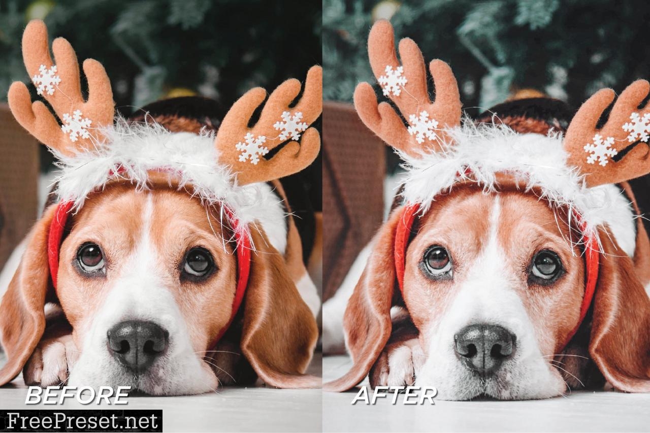 5 Holiday Lightroom Presets 5701799