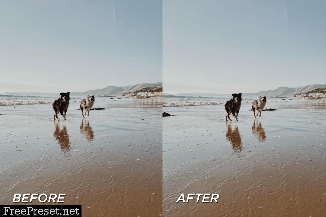 5 Moody Pet Lightroom Presets 5698951