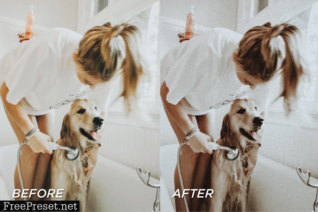 5 Moody Pet Lightroom Presets 5698951