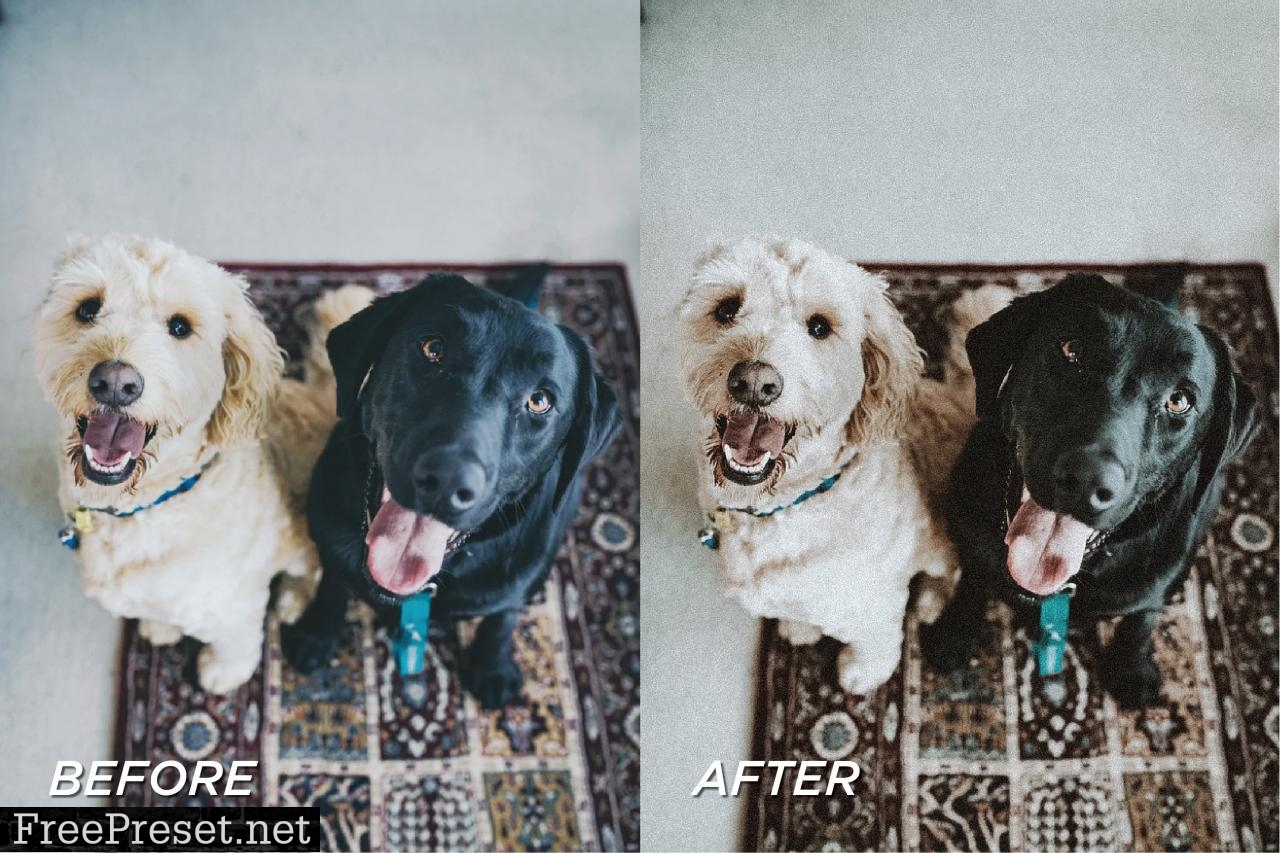 5 Moody Pet Lightroom Presets 5698951