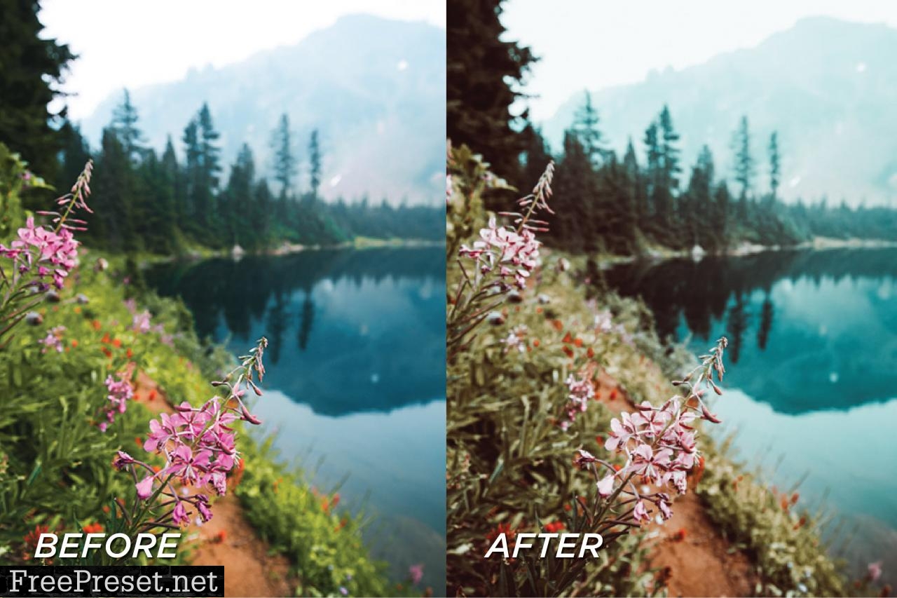 5 Nordic Lightroom Presets 5698933