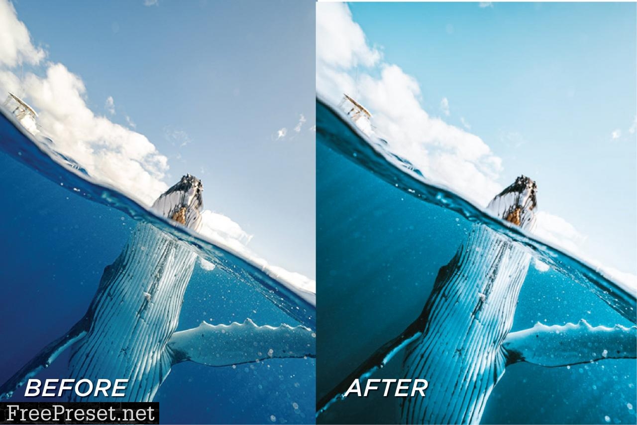 5 Underwater Lightroom Presets 5699142