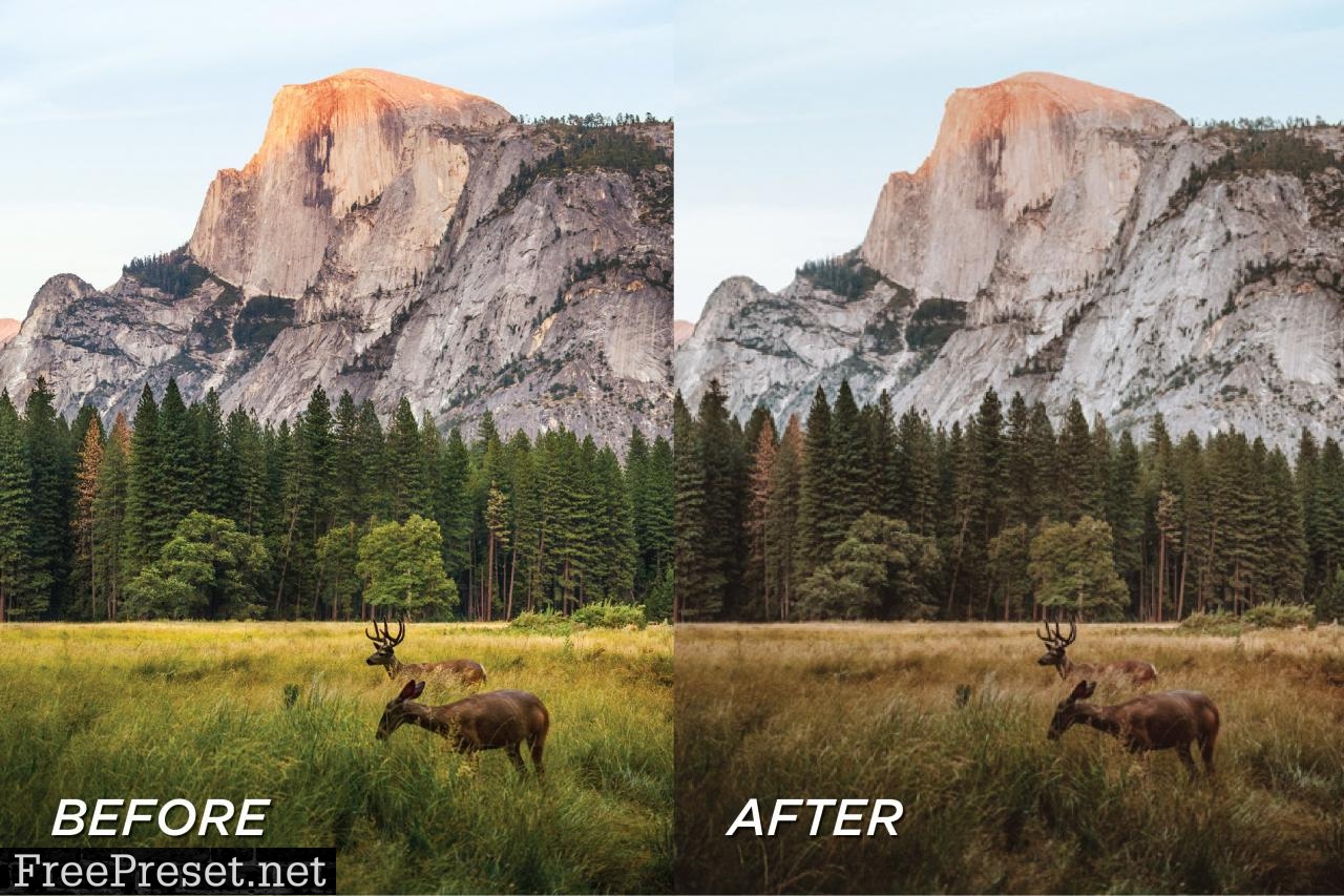 5 Yosemite Lightroom Presets 5699115