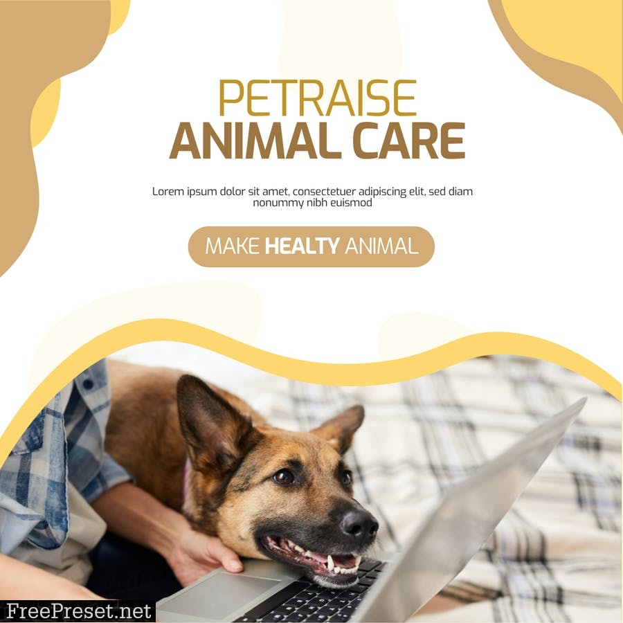 Animal Care Feed Socmed Post U5MUZ2L