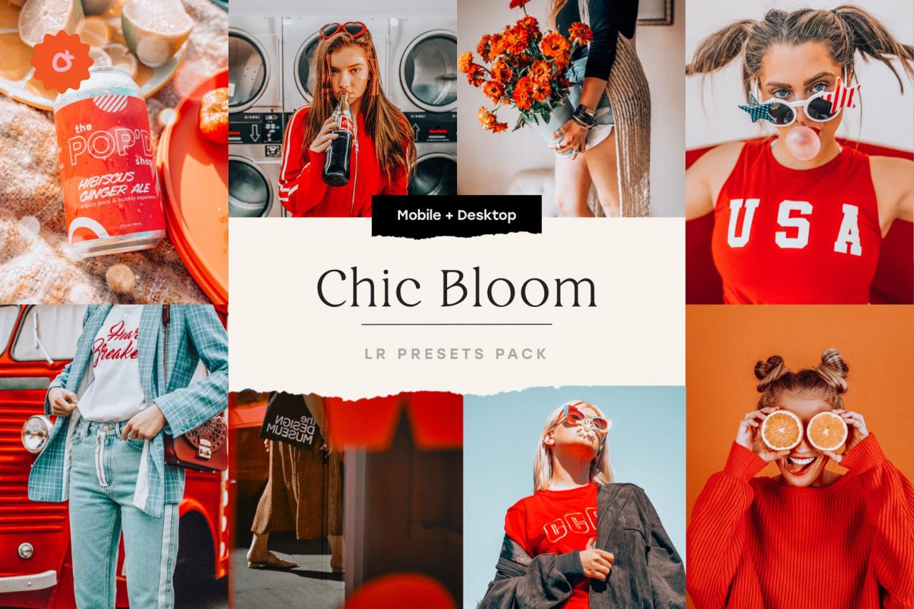 Chic Bloom – 4 Lightroom Presets Set 5347851