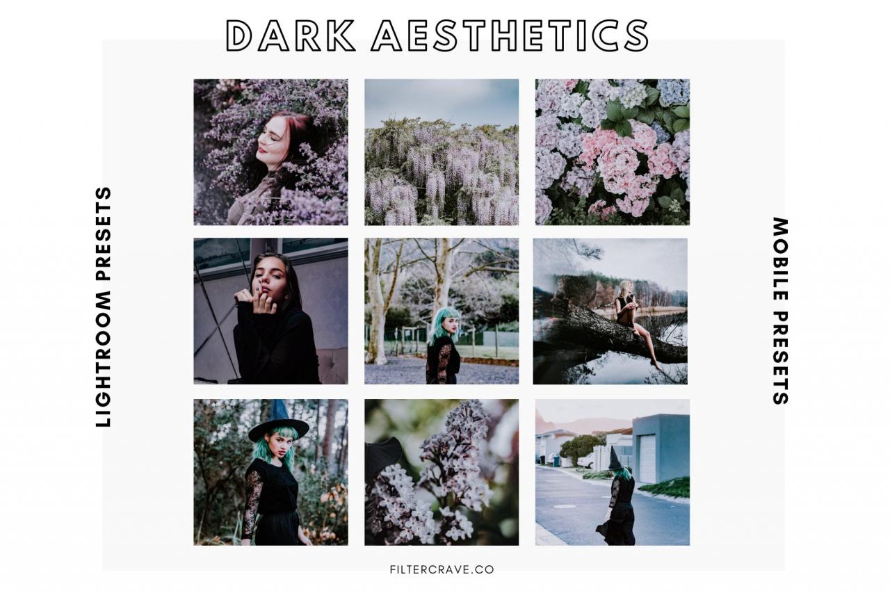 Dark Aesthetic Mobile Presets 5543725