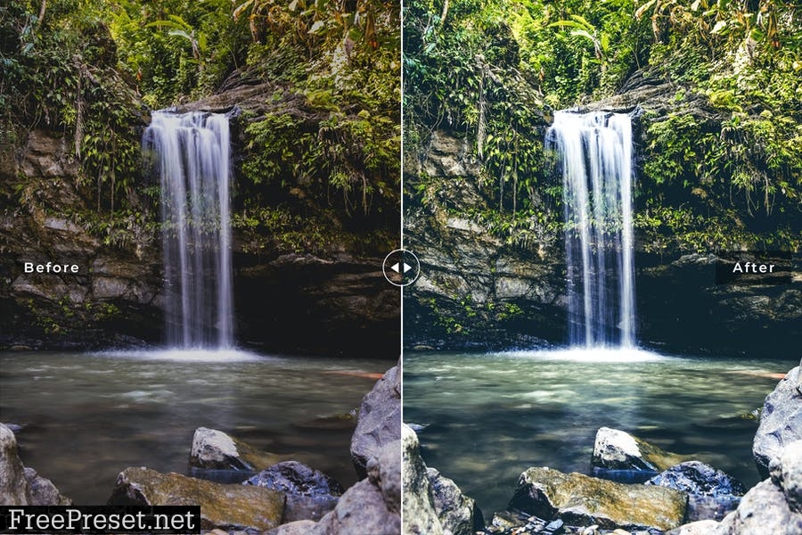 El Yunque Forest Mobile & Desktop Lightroom Preset