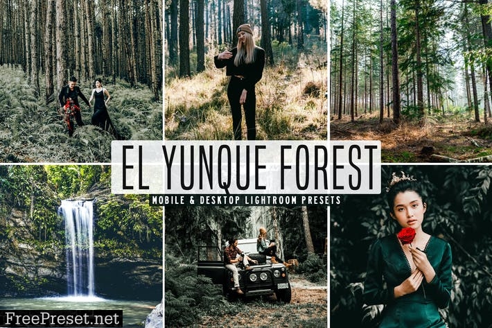 El Yunque Forest Mobile & Desktop Lightroom Preset