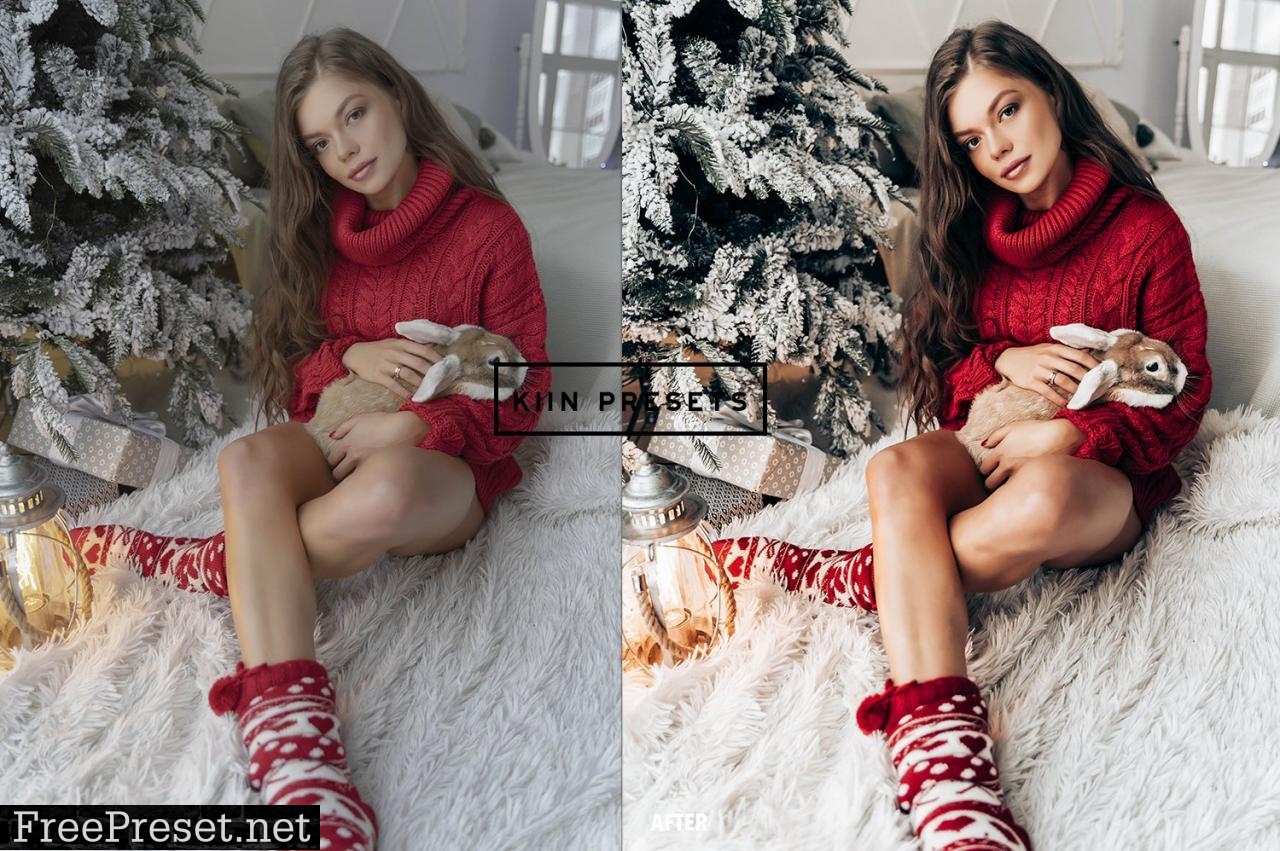 FESTIVE CHRISTMAS LIGHTROOM PRESETS 5634917