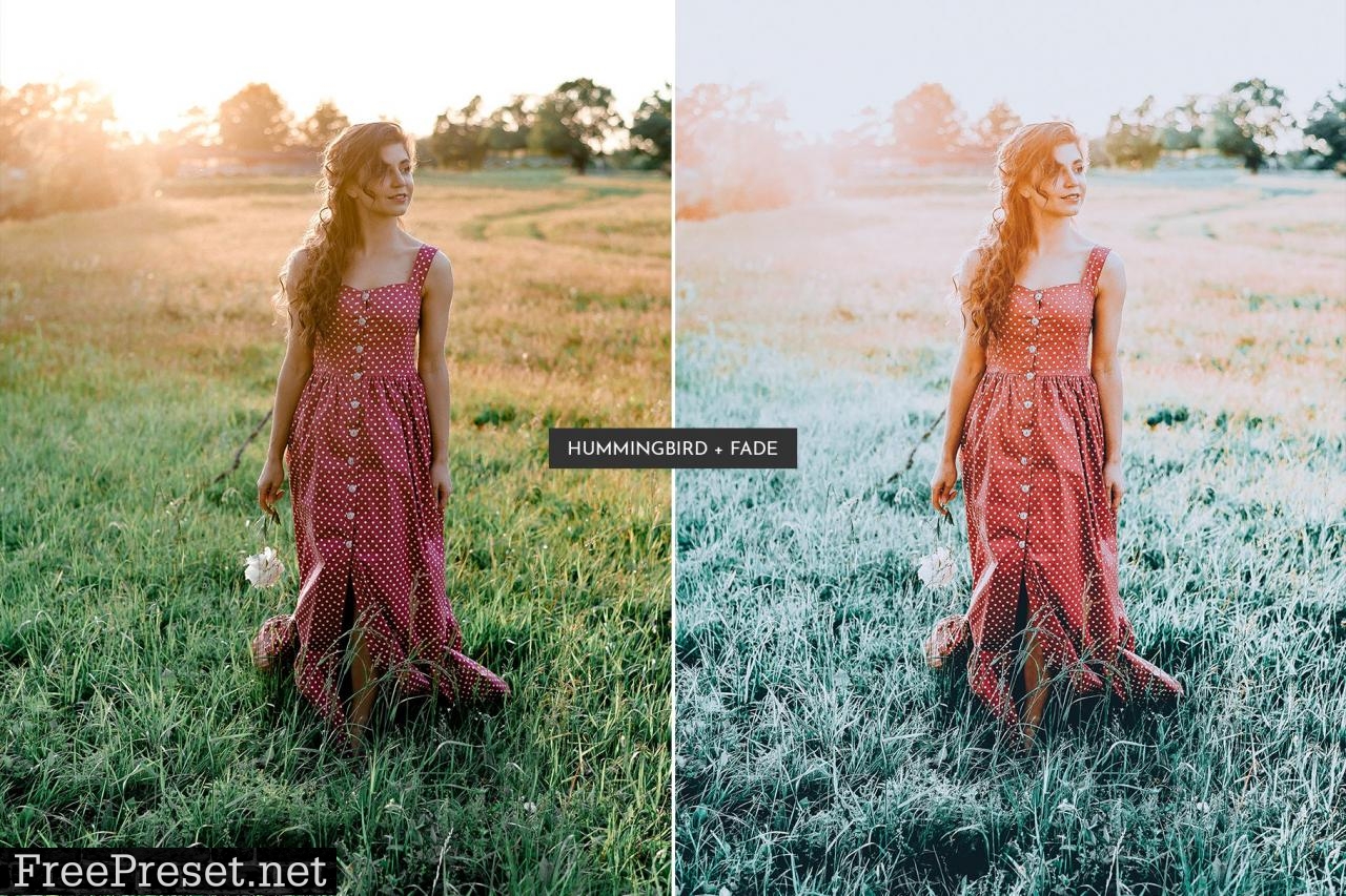 HummingBird Lightroom Presets Pack 5469110