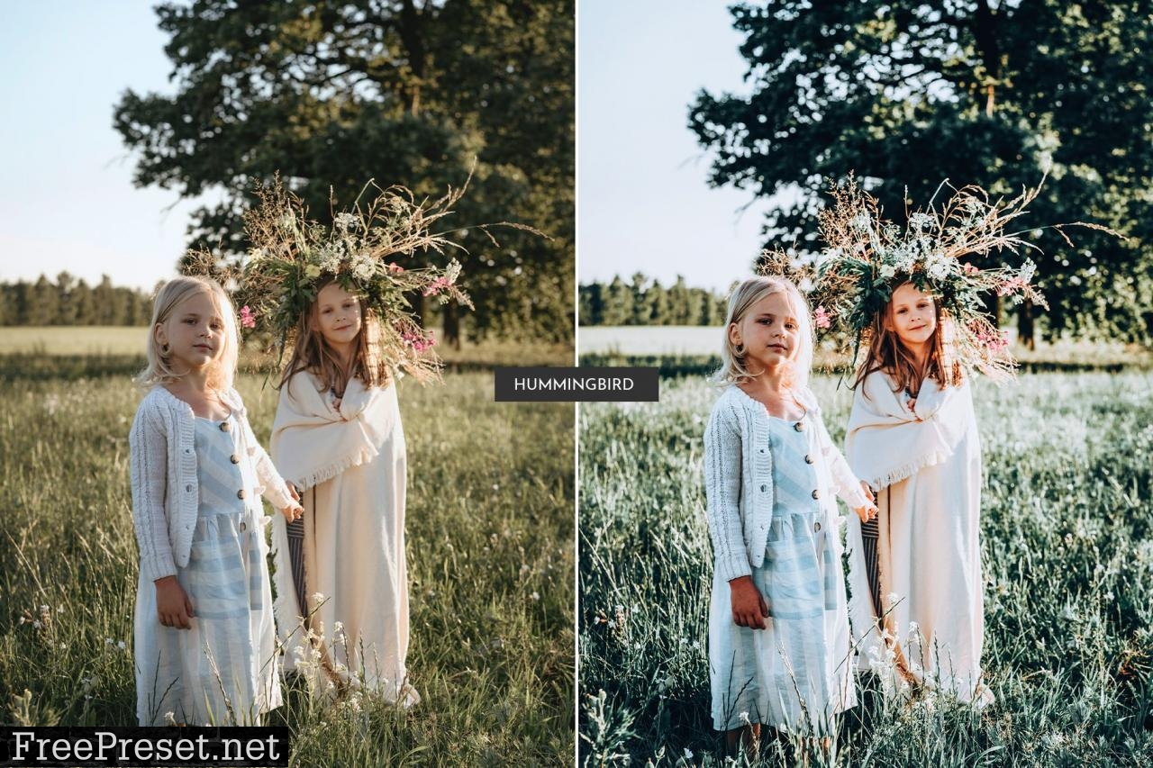 HummingBird Lightroom Presets Pack 5469110