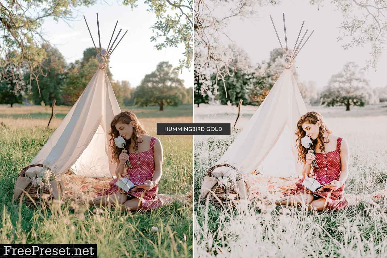 HummingBird Lightroom Presets Pack 5469110