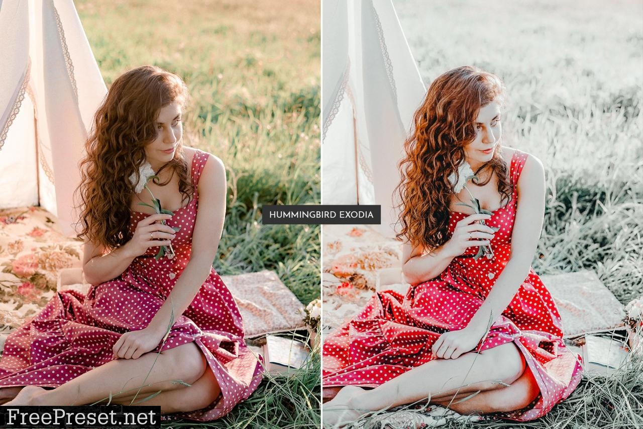 HummingBird Lightroom Presets Pack 5469110