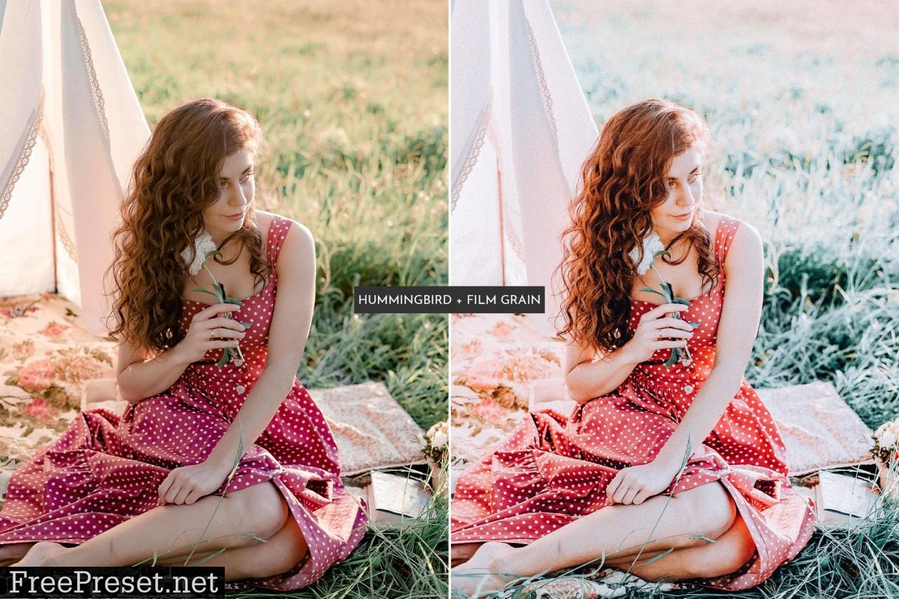 HummingBird Lightroom Presets Pack 5469110