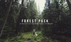 K1 Forest Pack Presets