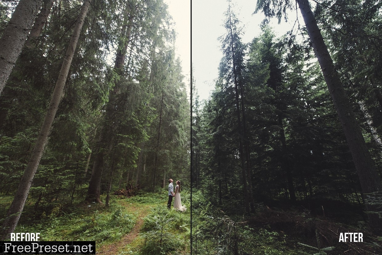 K1 Forest Pack Presets