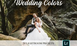 Lightroom Presets - Wedding Colors 4821653