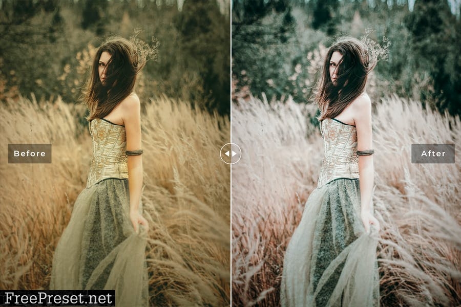 Mystical Mobile & Desktop Lightroom Presets