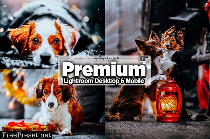 Premium Lightroom Presets Mobile and Desktop