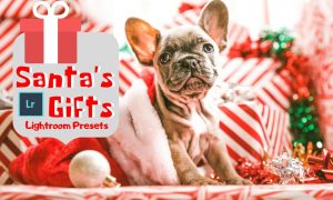 Santa's Gifts Lightroom Presets 4320221