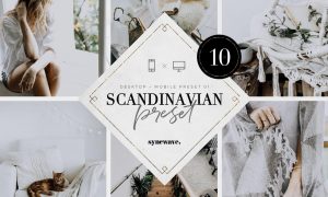 Scandinavian Lightroom Presets 5251277