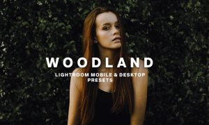 WOODLAND Lightroom Presets 5373041