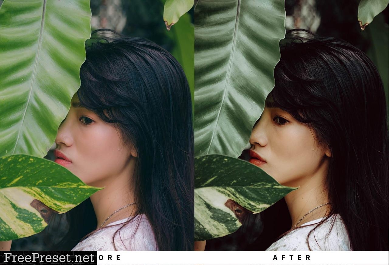 10 Portrait Lightroom Presets 5731234