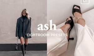4 Lightroom Presets ASH 5486816