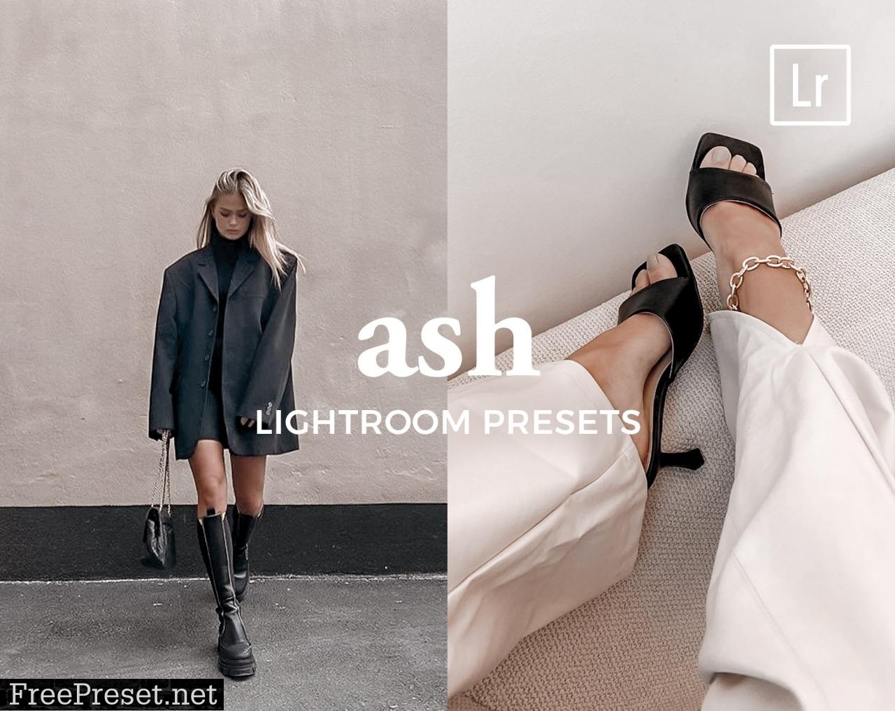 4 Lightroom Presets ASH 5486816