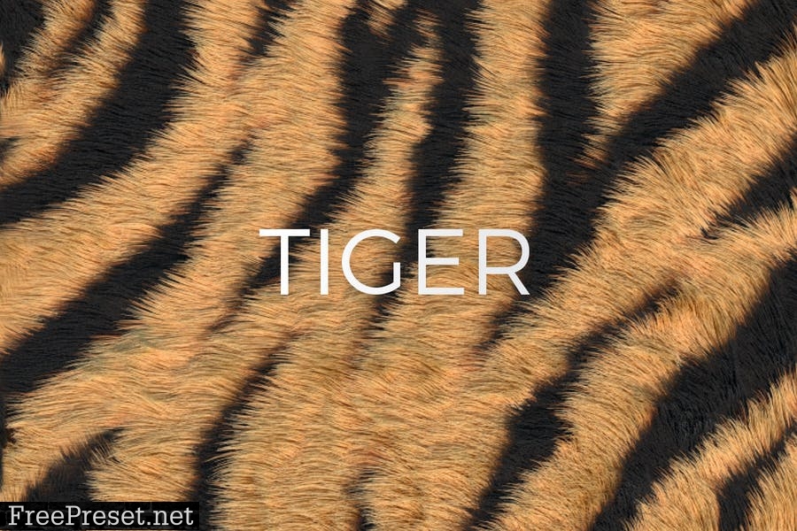 Animal Print Patterns for Photoshop ZDQZPNA