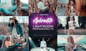 Aphrodite EXCLUSIVE Lightroom Pro Presets