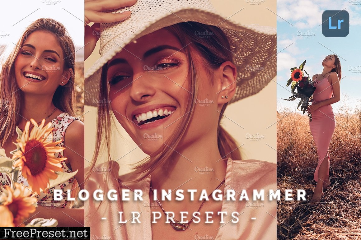 Blogger Instagrammer - Lr Presets 5176874