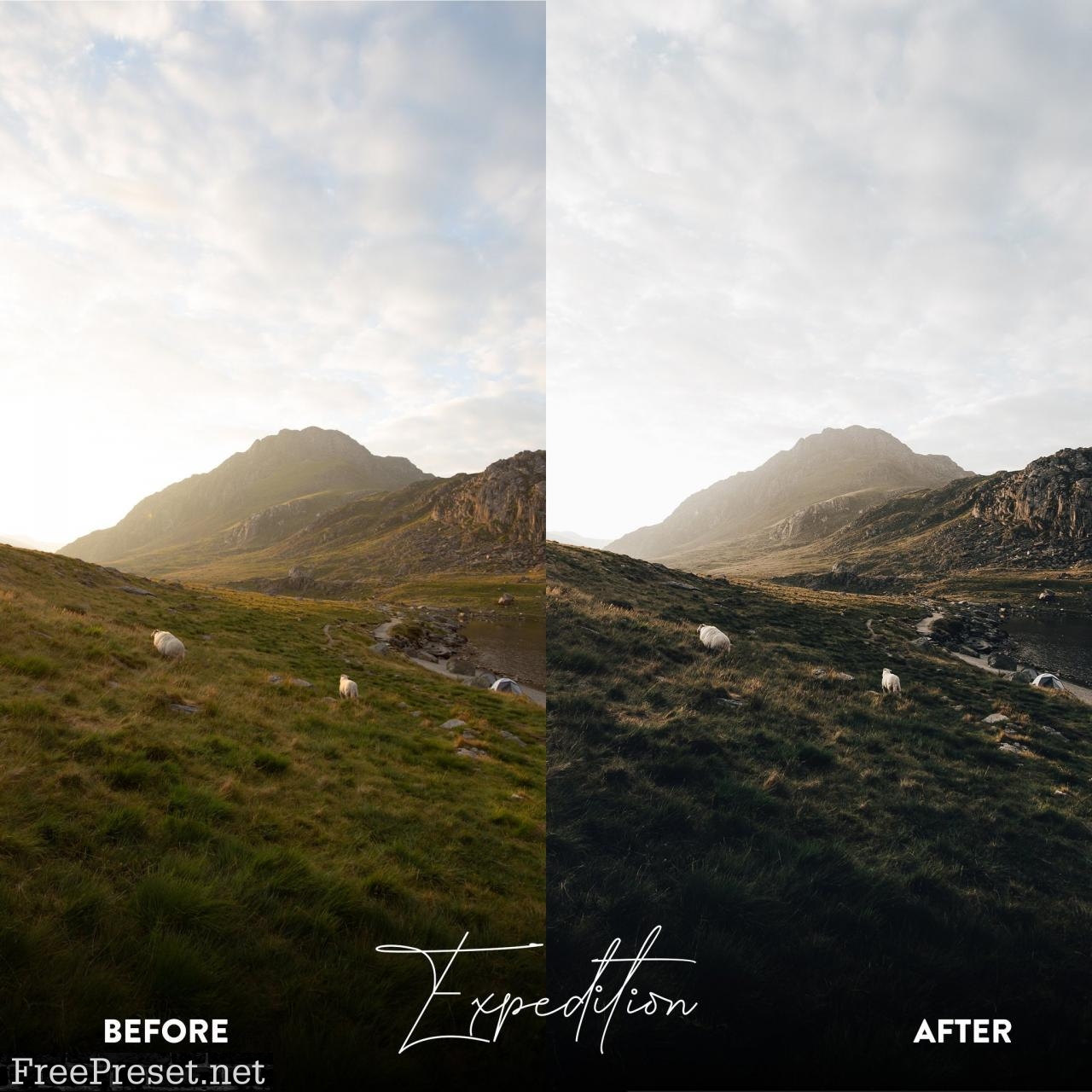 Brad Matthews - Adventure Collective Presets Bundle