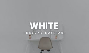 Clean White | For Mobile and Desktop