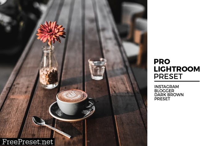 Instagram Blogger Dark Brown Preset