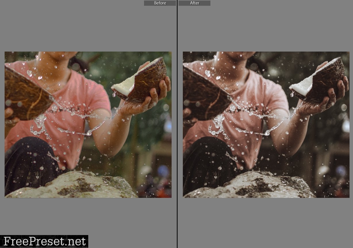 Lightroom presets coconut tan 5610229