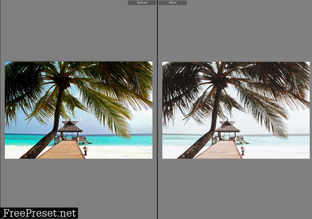 Lightroom presets coconut tan 5610229