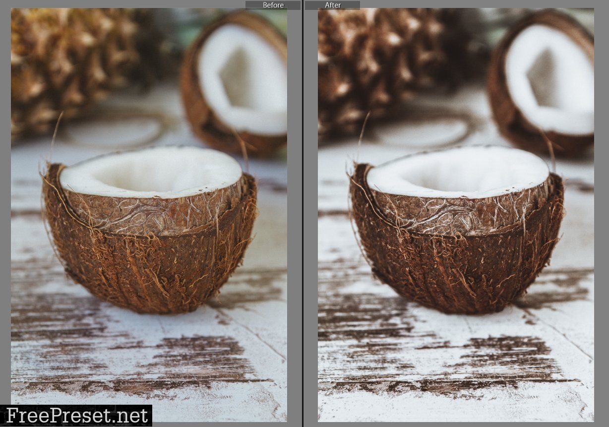 Lightroom presets coconut tan 5610229