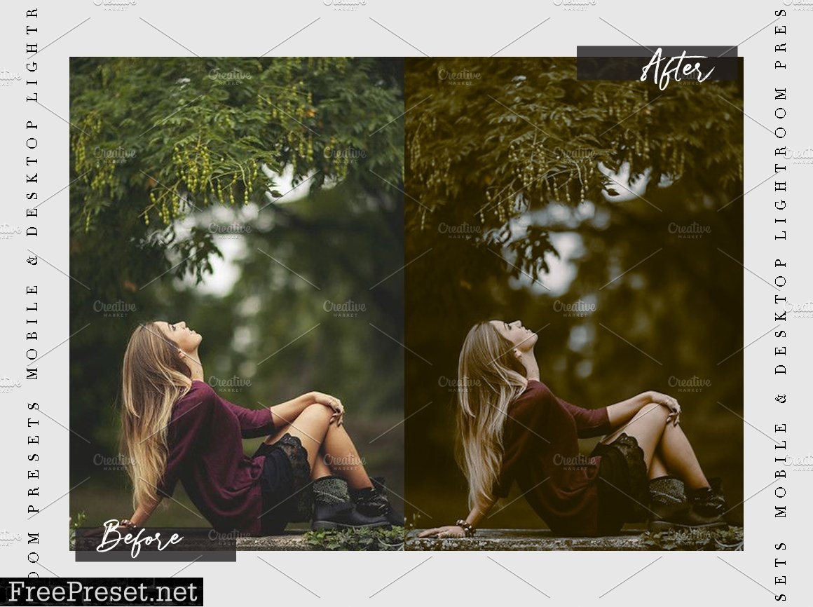 MOODY TALE - Lightroom Presets 5667429