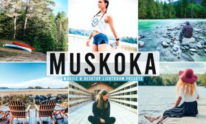 Muskoka Mobile & Desktop Lightroom Presets
