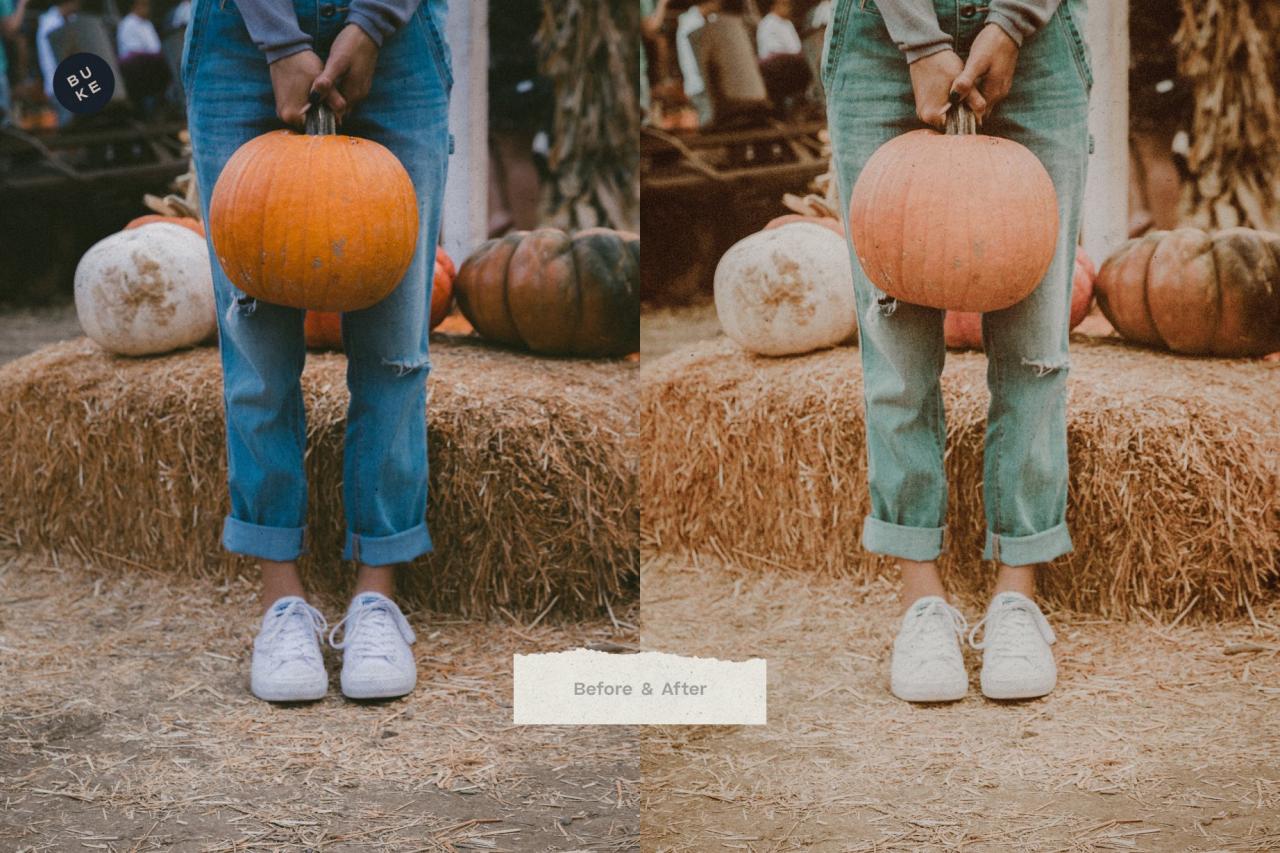 West Fall – 5 Lightroom Presets Pack 5483755